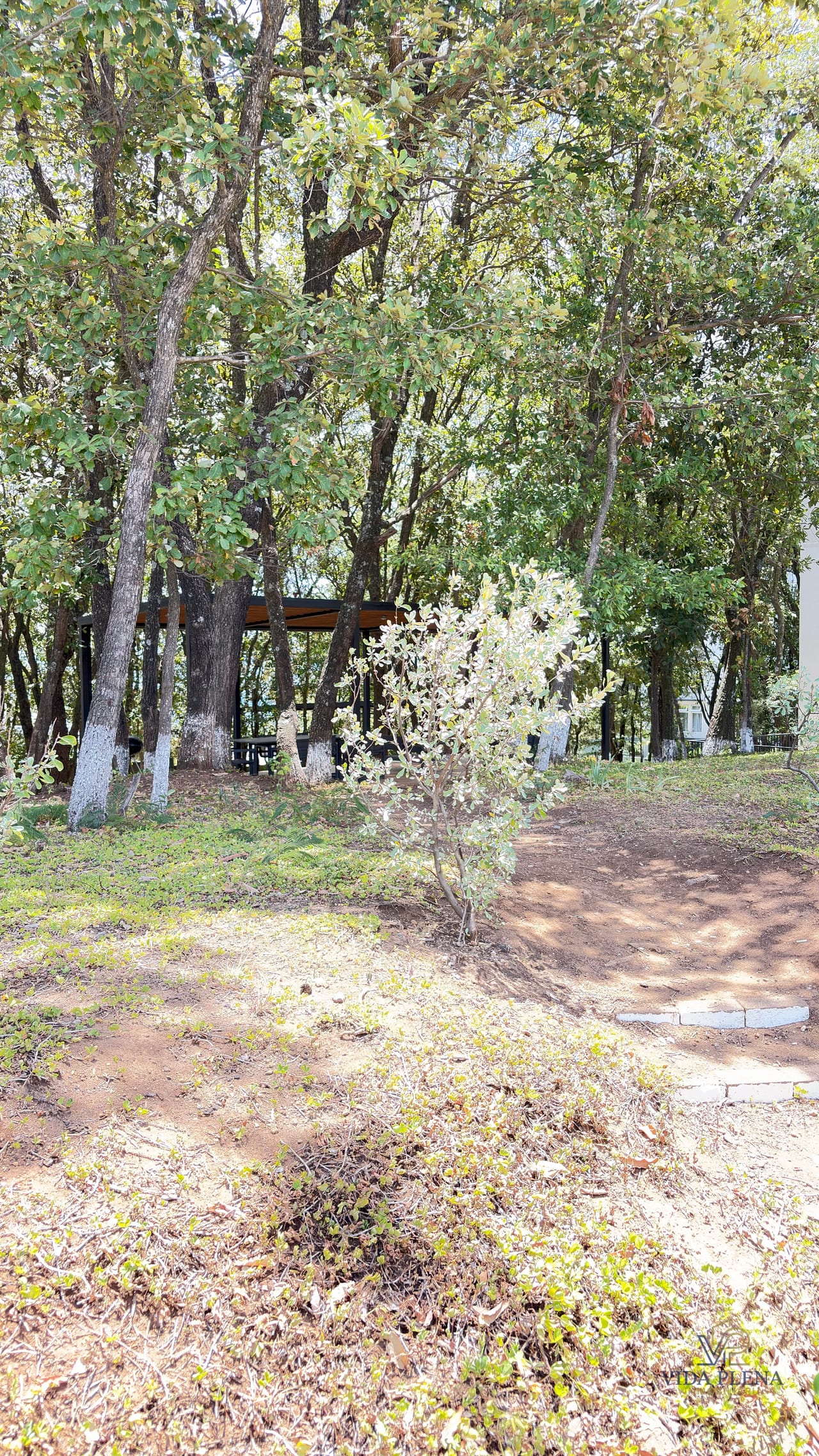 APARTAMENTO RENTA O VENTA SAKAI Z.1 MIXCO Carretera Interamericana — Apartamento en Venta en Sakai, Zona 1 Mixco, Guatemala, Ciudad — foto 8 de 10