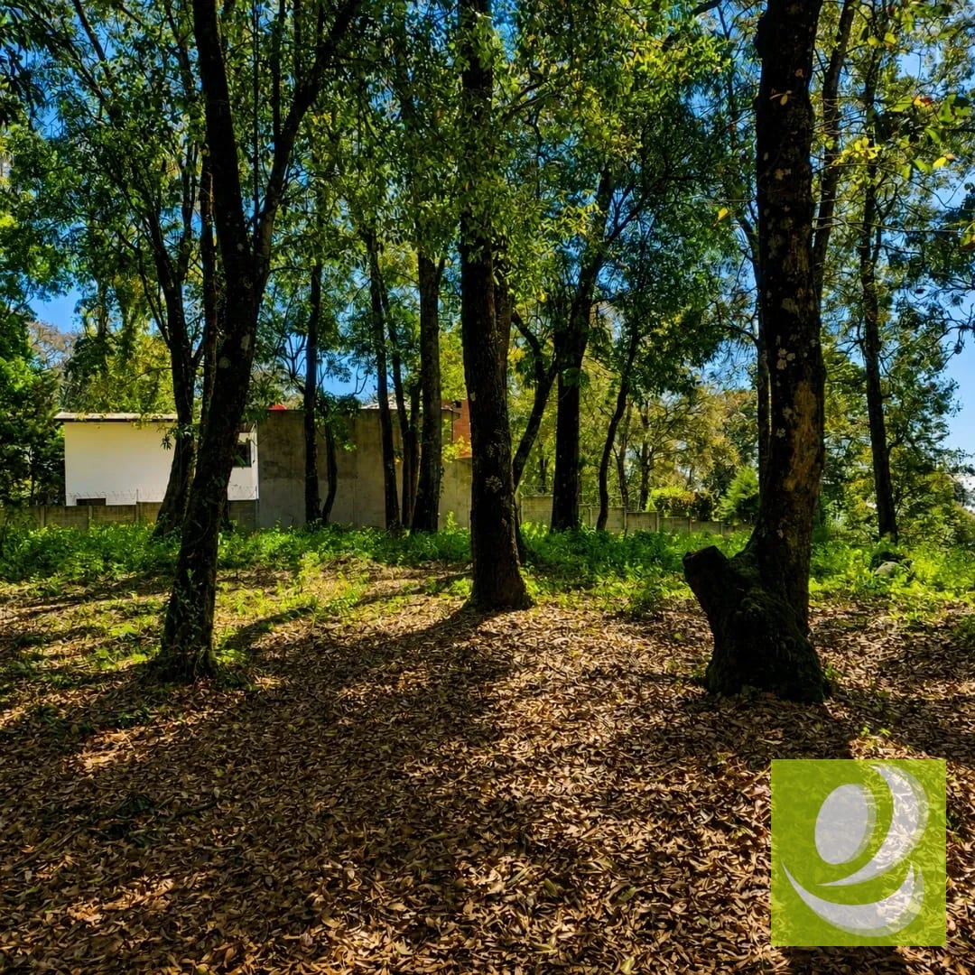 Terreno en Venta en Bosque Vivo km 24 Carretera Interamericana — Terreno en Venta en San Lucas Sacatepéquez, Sacatepéquez — foto 2 de 7