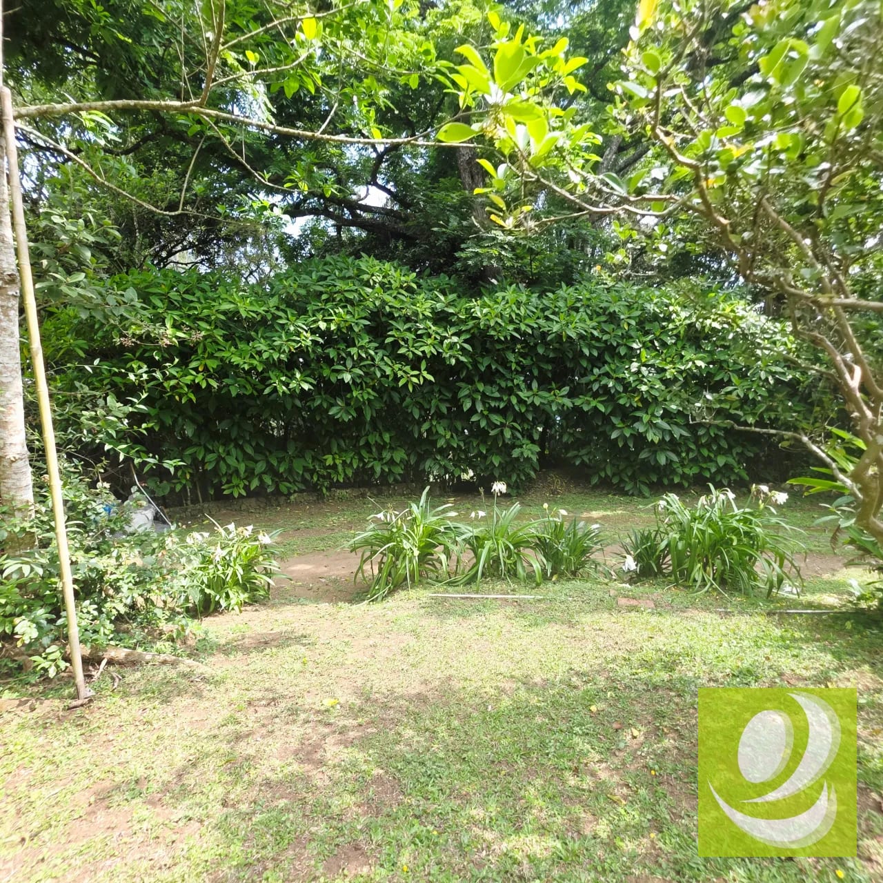 Vendo Terreno en Santa Elena Barillas — Casa en Venta en Bosques de San Nicolás, Santa Elena Barillas, Guatemala, Ciudad — foto 4 de 6