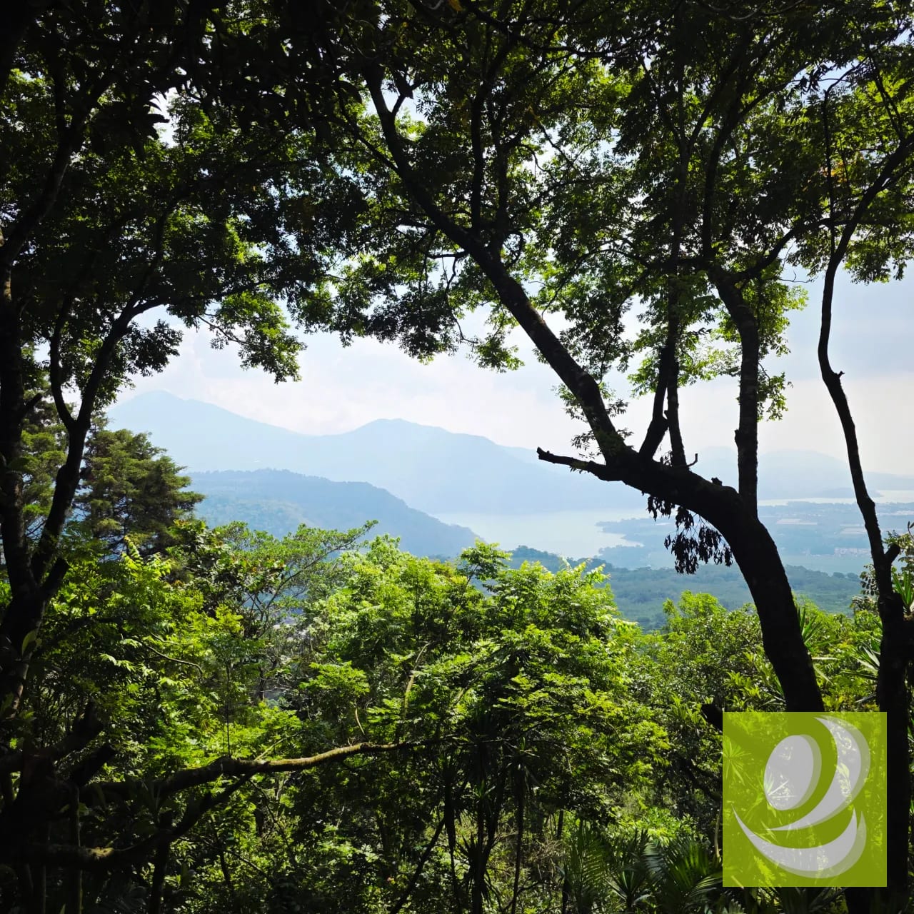 Vendo Terreno en Santa Elena Barillas — Casa en Venta en Bosques de San Nicolás, Santa Elena Barillas, Guatemala, Ciudad — foto 1 de 6
