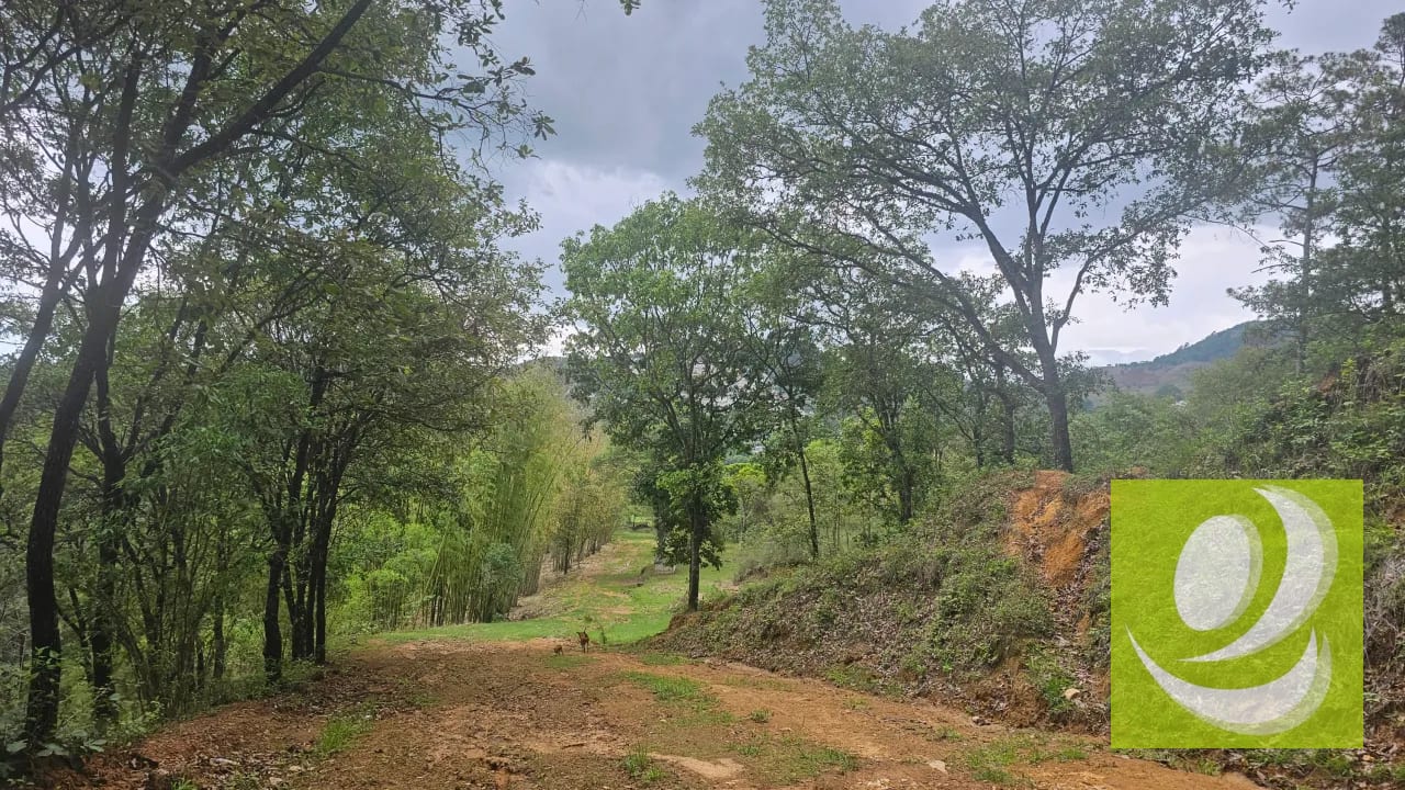 Terreno en Renta 12Mnz en Chinautla — Casa en Alquiler en Chinautla, Guatemala, Ciudad — foto 1 de 7