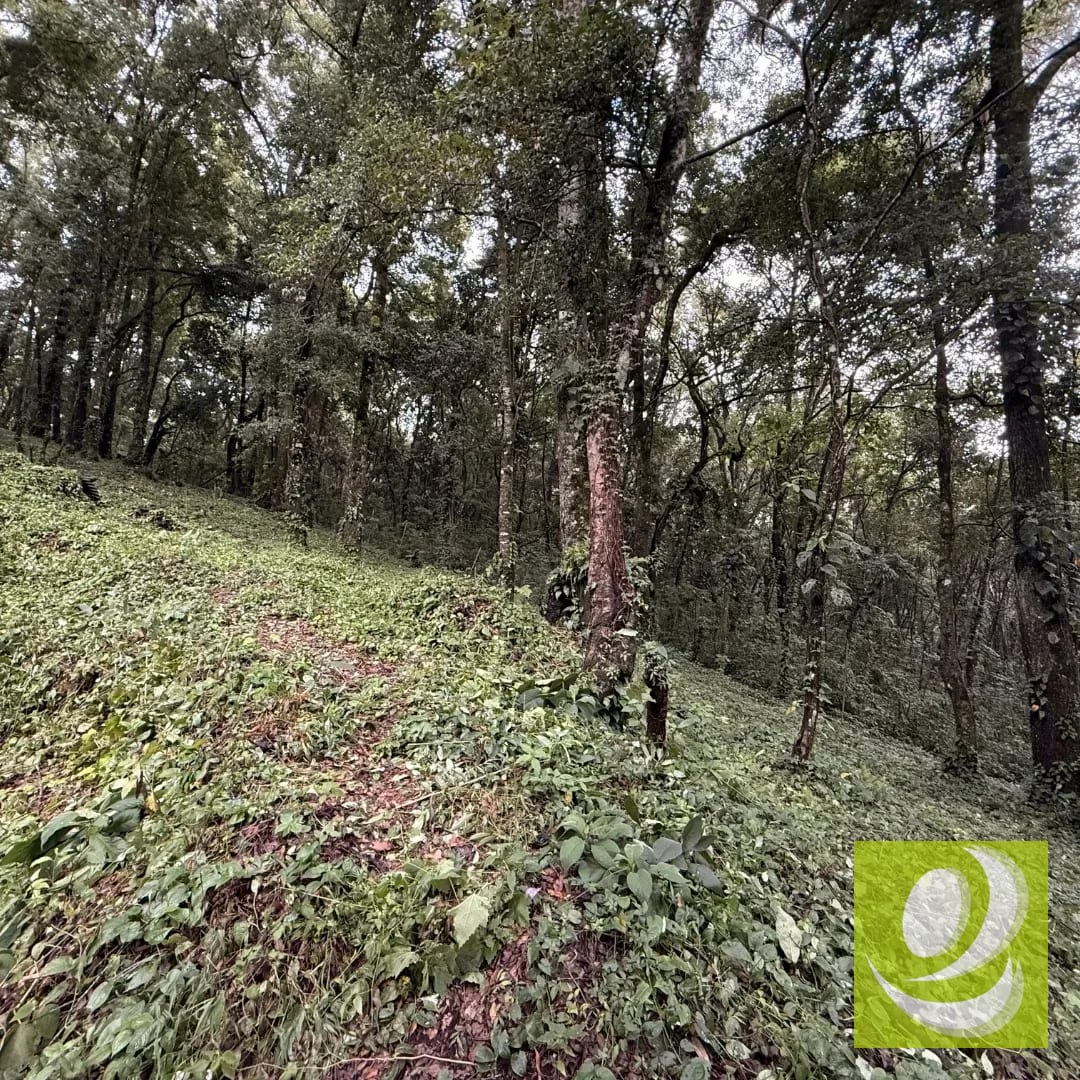 Terreno en Venta en Bosque Vivo km 24.5 carretera Interamericana — Terreno en Venta en San Lucas Sacatepéquez, Sacatepéquez — foto 1 de 4