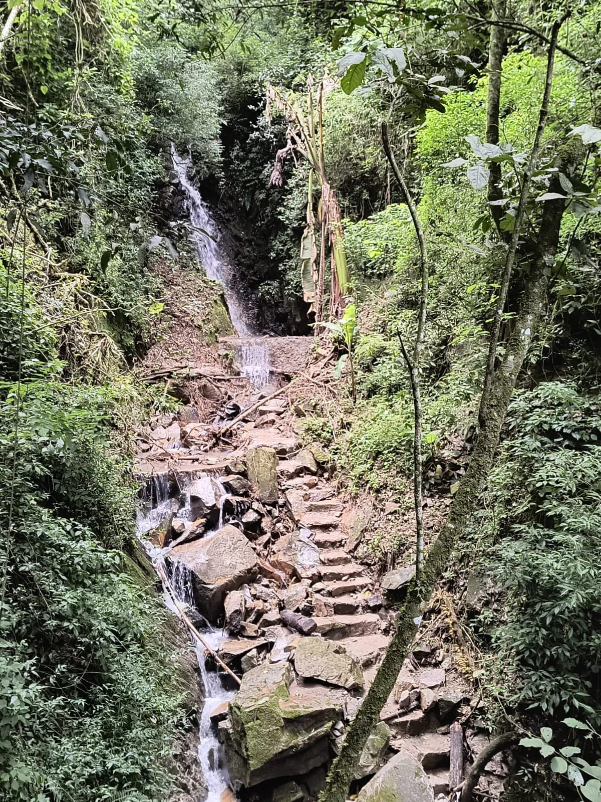 Terreno en Fraijanes — Terreno en Venta en Carretera a El Salvador, Guatemala, Ciudad — foto 7 de 10