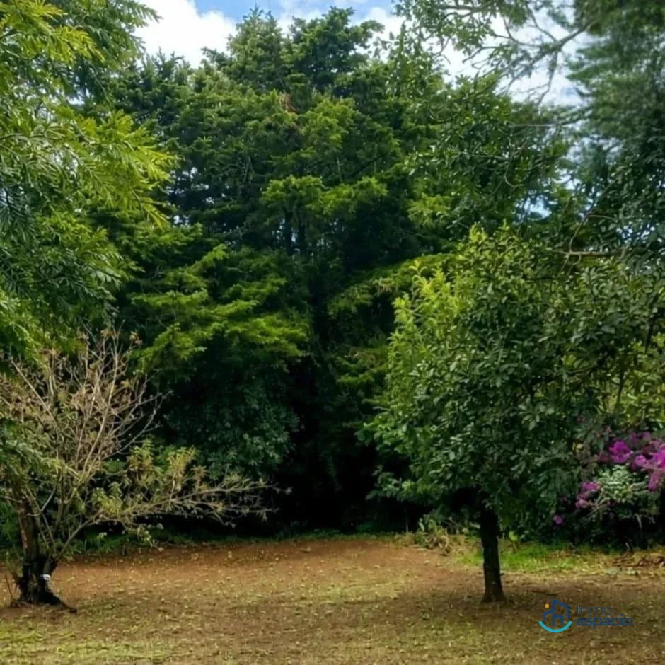đż TERRENO EN VENTA â SANTA LUCĂA MILPAS ALTAS, SACATEPĂQUEZ â Terreno en Venta en Santa LucĂa Milpas Altas, SacatepĂ©quez â foto 1 de 17
