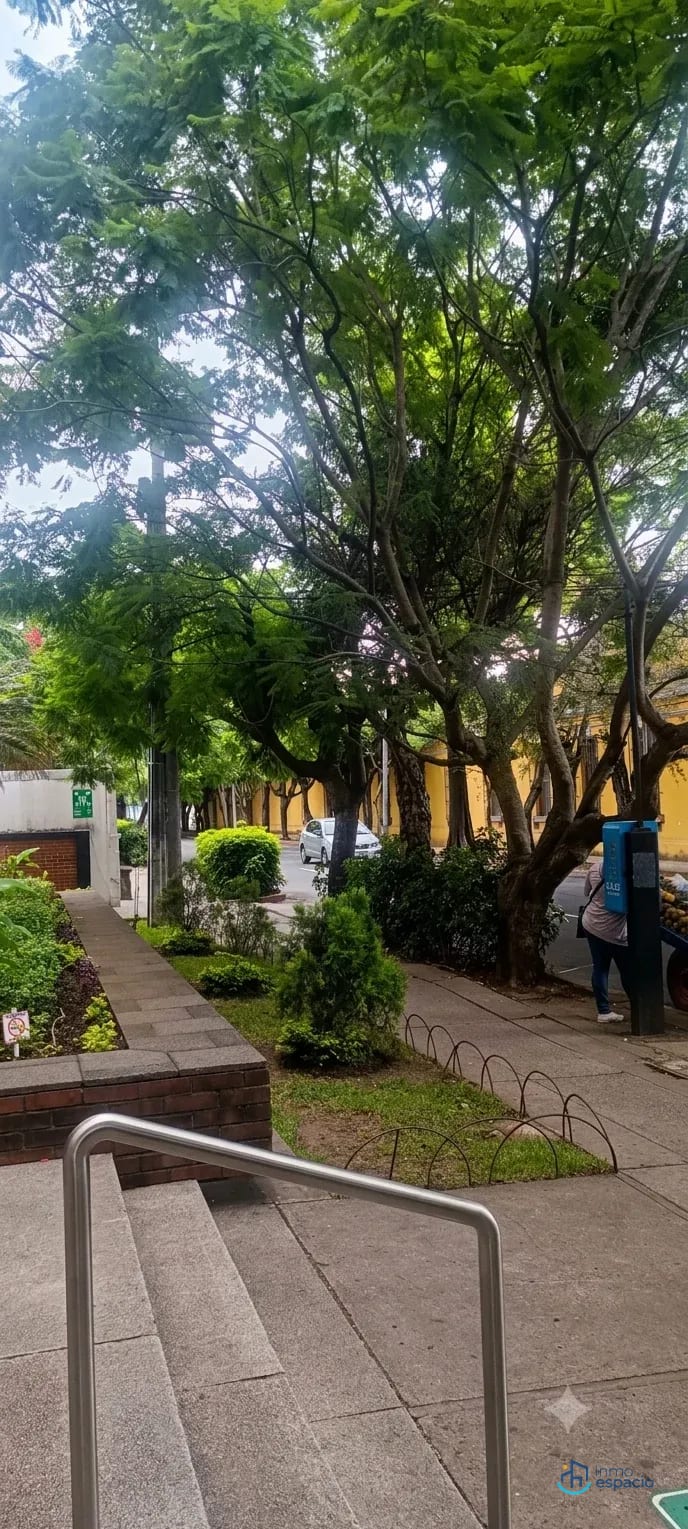 🏢 Local Comercial en Renta – Planta Baja, Zona 10 — Local en Alquiler en Zona 10, Guatemala, Ciudad — foto 3 de 5
