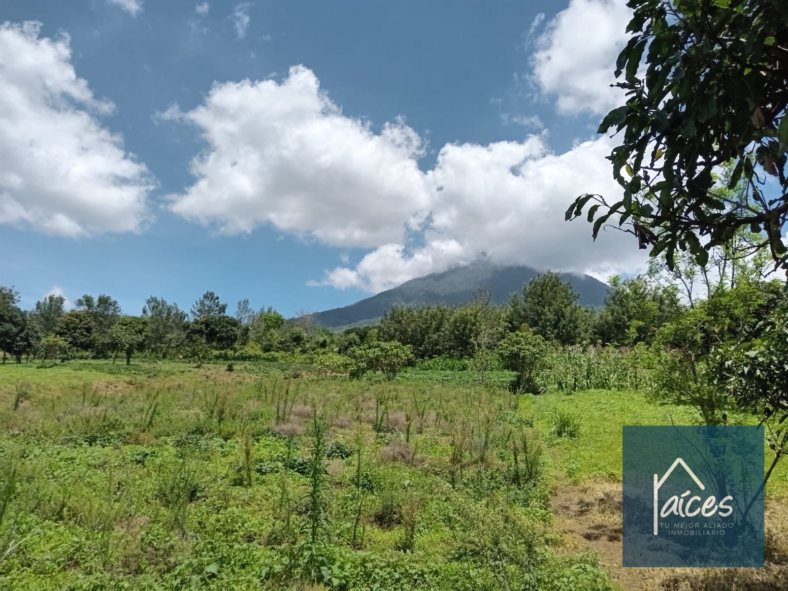 Terreno en venta Ciudad Vieja (*20) - 6