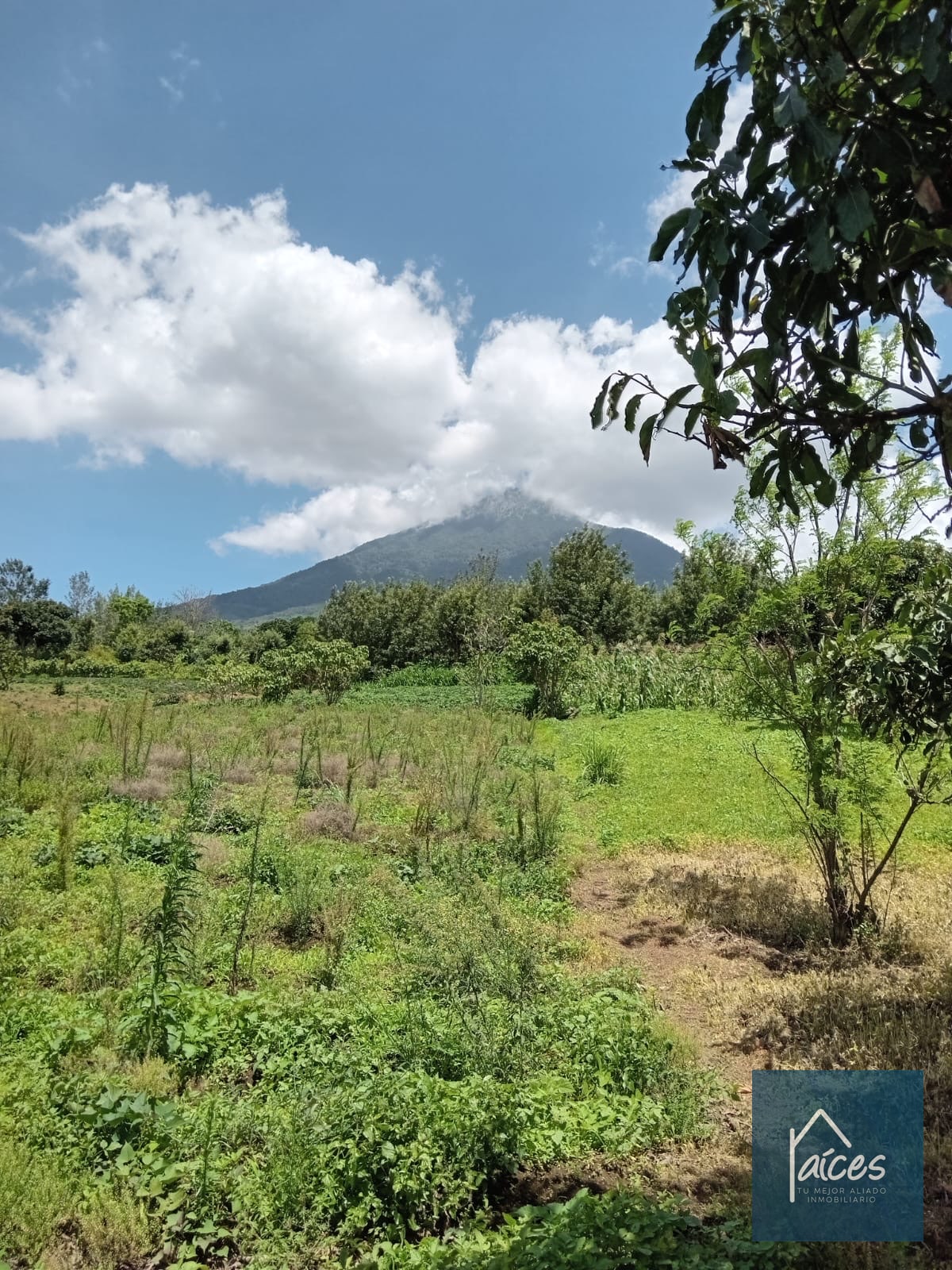 Terreno en venta Ciudad Vieja (*20) - 3