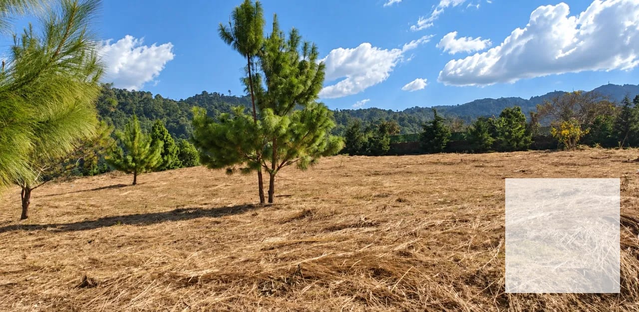Terreno para desarrollar La Reserva L27/Pulté Ecuestre — Terreno en Venta en El Pulté Ecuestre, Zona 16, Guatemala, Ciudad — foto 3 de 6