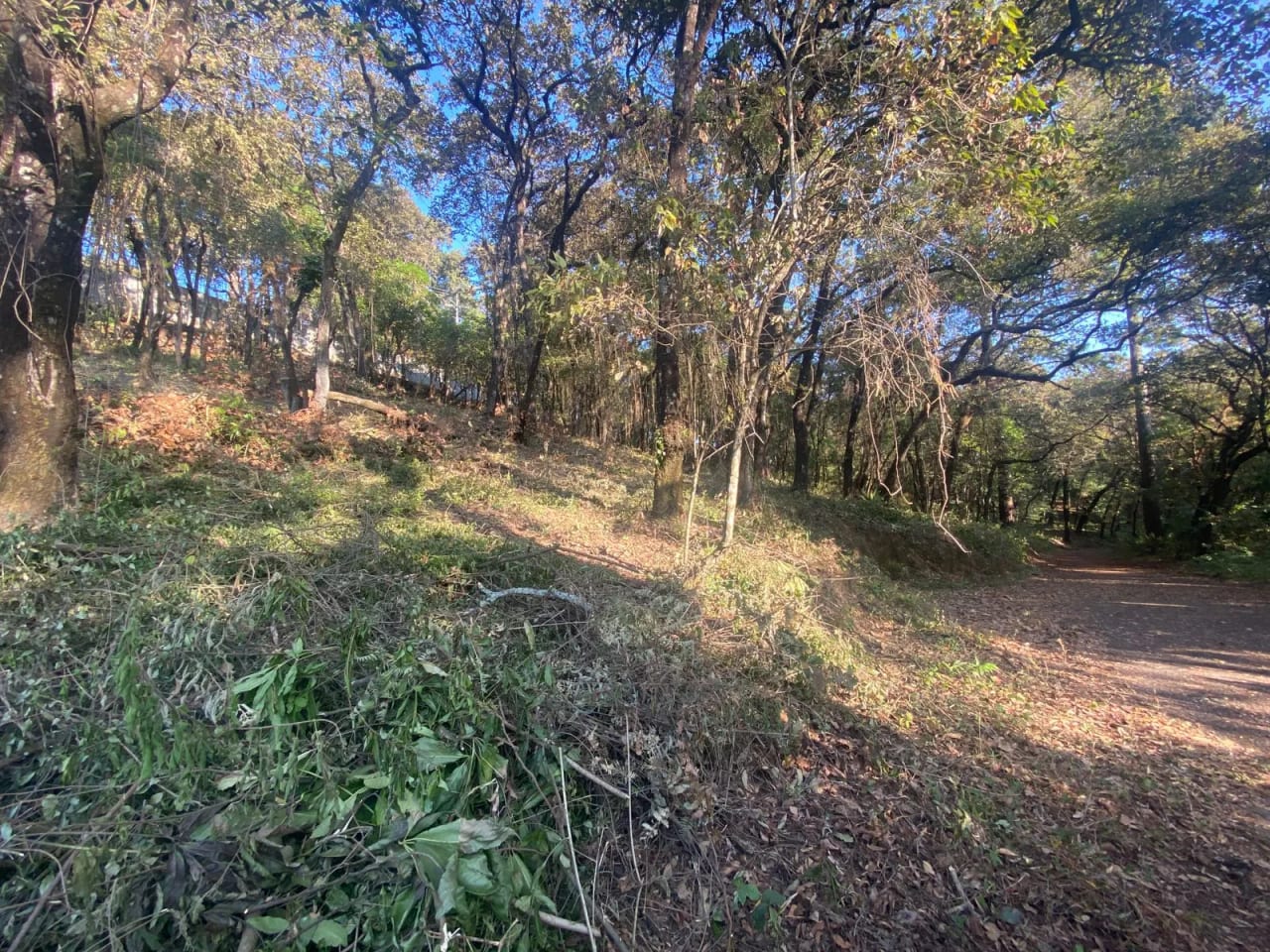 TERRENO EN VENTA LABOR DE CASTILLA, ZONA 9 DE MIXCO — Terreno en Venta en Zona 9 Mixco, Guatemala, Ciudad — foto 3 de 3