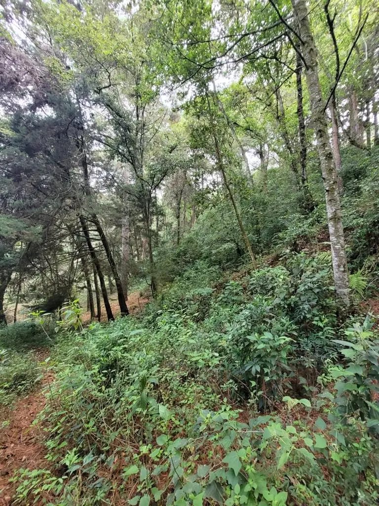 TERRENO EN VENTA, CARRETERA A SAN LUCAS — Terreno en Venta en San Lucas Sacatepéquez, Sacatepéquez — foto 7 de 13