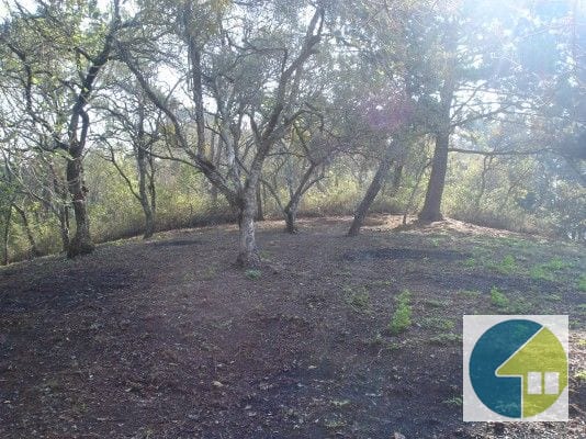 Terreno en Venta, Lotificación Buenos Aires, km. 22 Carretera a El Salvador — Terreno en Venta en Carretera a El Salvador, Guatemala, Ciudad — foto 13 de 15
