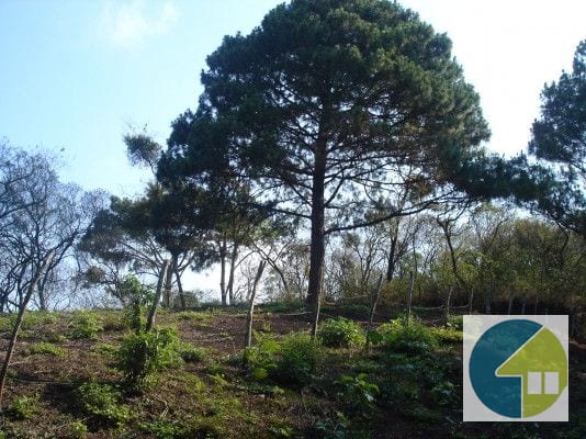 Terreno en Venta, Lotificación Buenos Aires, km. 22 Carretera a El Salvador — Terreno en Venta en Carretera a El Salvador, Guatemala, Ciudad — foto 8 de 15
