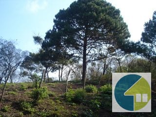 Terreno en Venta, Lotificación Buenos Aires, km. 22 Carretera a El Salvador — Terreno en Venta en Carretera a El Salvador, Guatemala, Ciudad — miniatura 8 de 15