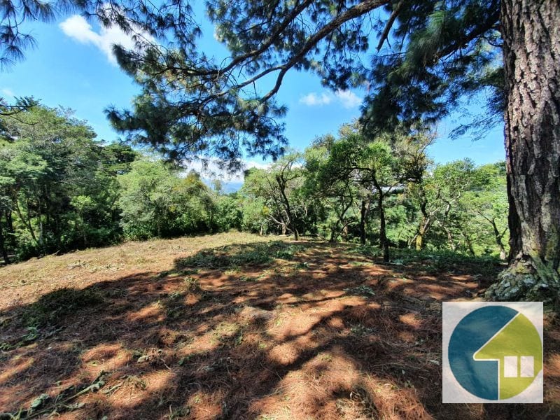 Terreno en Venta, Lotificación Buenos Aires, km. 22 Carretera a El Salvador — Terreno en Venta en Carretera a El Salvador, Guatemala, Ciudad — foto 12 de 15