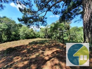 Terreno en Venta, Lotificación Buenos Aires, km. 22 Carretera a El Salvador — Terreno en Venta en Carretera a El Salvador, Guatemala, Ciudad — miniatura 12 de 15