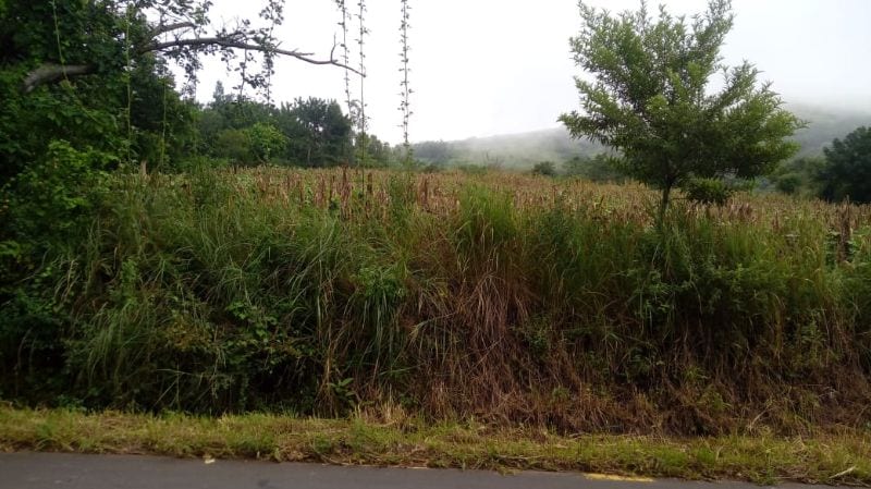 Venta terreno Km. 46.5 Villa Canales — Terreno en Venta en Villa Canales, Guatemala, Ciudad — foto 4 de 4