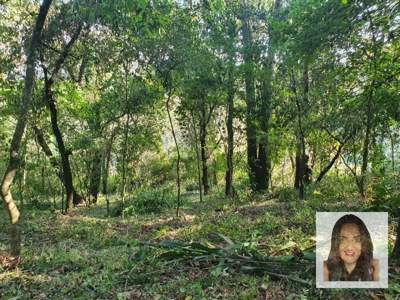Terrenos en venta en El Encinal, Tronco 2 - 2
