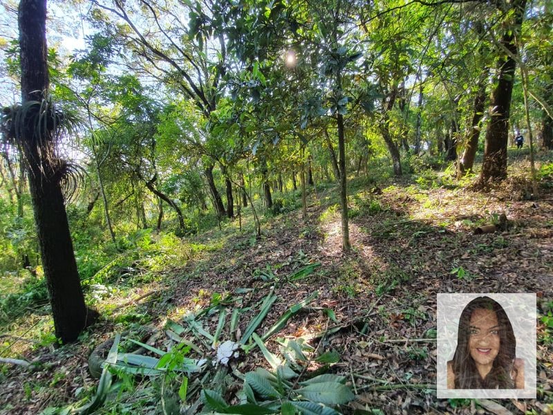 Terrenos en venta en El Encinal, Tronco 2 - 10