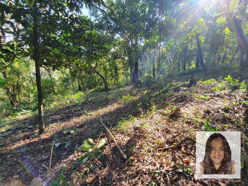 Terrenos en venta en El Encinal, Tronco 2 - 9