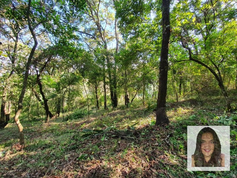 Terrenos en venta en El Encinal, Tronco 2 - 3