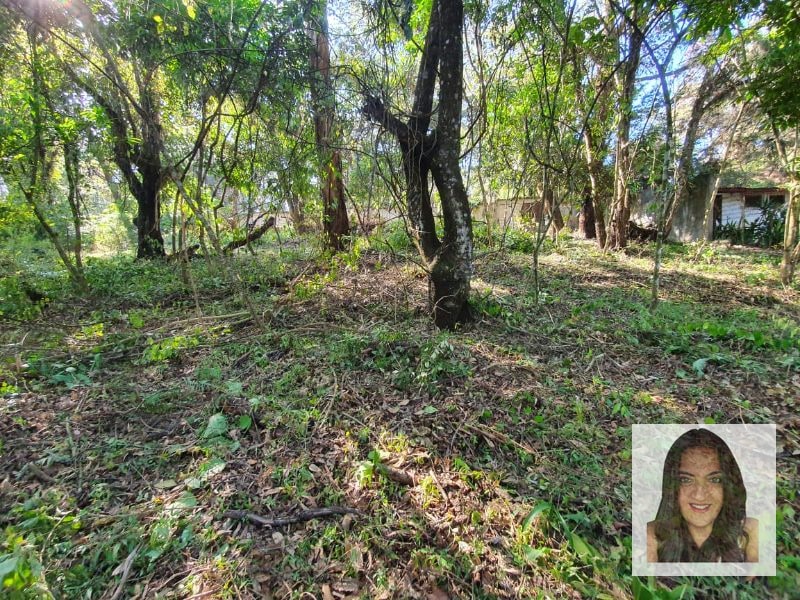Terrenos en venta en El Encinal, Tronco 2 - 4