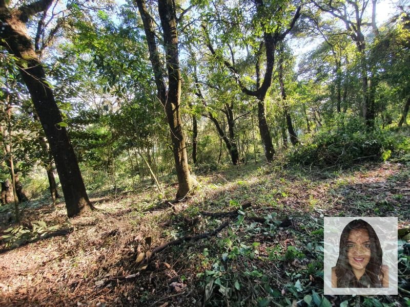 Terrenos en venta en El Encinal, Tronco 2 - 5