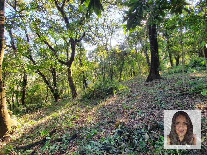 Terrenos en venta en El Encinal, Tronco 2 - 7