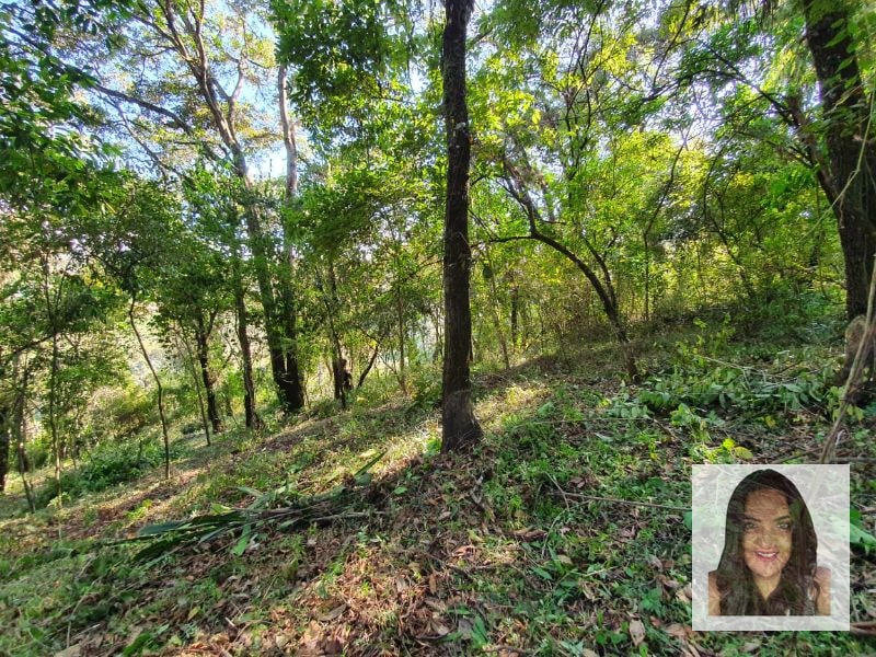 Terrenos en venta en El Encinal, Tronco 2 - 6