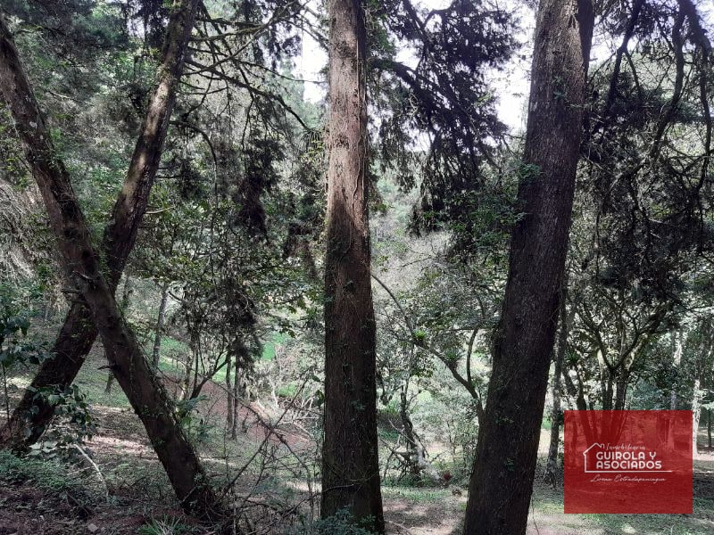 Terreno en venta en Santa Rosalia La Laguna 001TVSTD - 4
