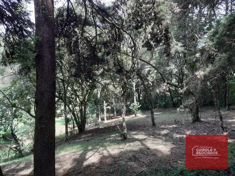 Terreno en venta en Santa Rosalia La Laguna 001TVSTD - 3