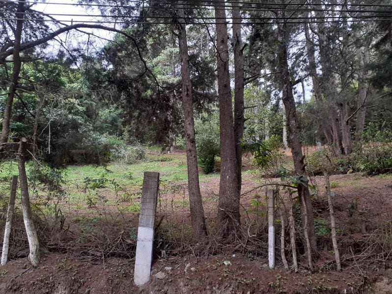 TERRENO IDEAL PARA DESARROLLO  KM 16 CARRETERA SALVADOR EN VENTA — Terreno en Venta en Carretera a El Salvador, Guatemala, Ciudad — foto 3 de 4