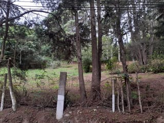 TERRENO IDEAL PARA DESARROLLO  KM 16 CARRETERA SALVADOR EN VENTA — Terreno en Venta en Carretera a El Salvador, Guatemala, Ciudad — miniatura 3 de 4