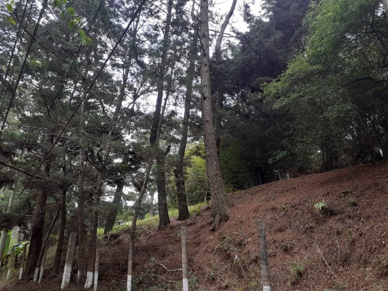 TERRENO IDEAL PARA DESARROLLO  KM 16 CARRETERA SALVADOR EN VENTA — Terreno en Venta en Carretera a El Salvador, Guatemala, Ciudad — foto 4 de 4