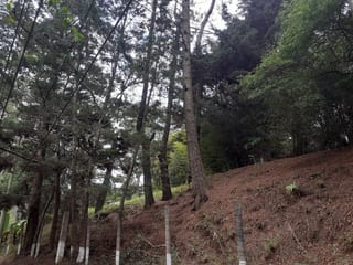 TERRENO IDEAL PARA DESARROLLO  KM 16 CARRETERA SALVADOR EN VENTA — Terreno en Venta en Carretera a El Salvador, Guatemala, Ciudad — miniatura 4 de 4