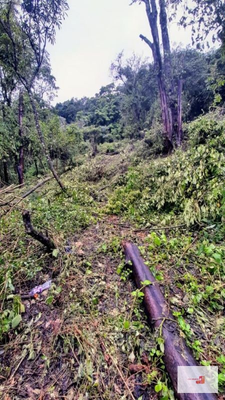 Venta de Terreno en El Encinal Tronco 8 - Mixco Guate - 4