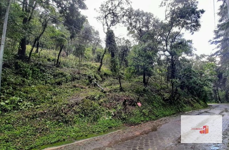 Venta de Terreno en El Encinal Tronco 8 - Mixco Guate - 2