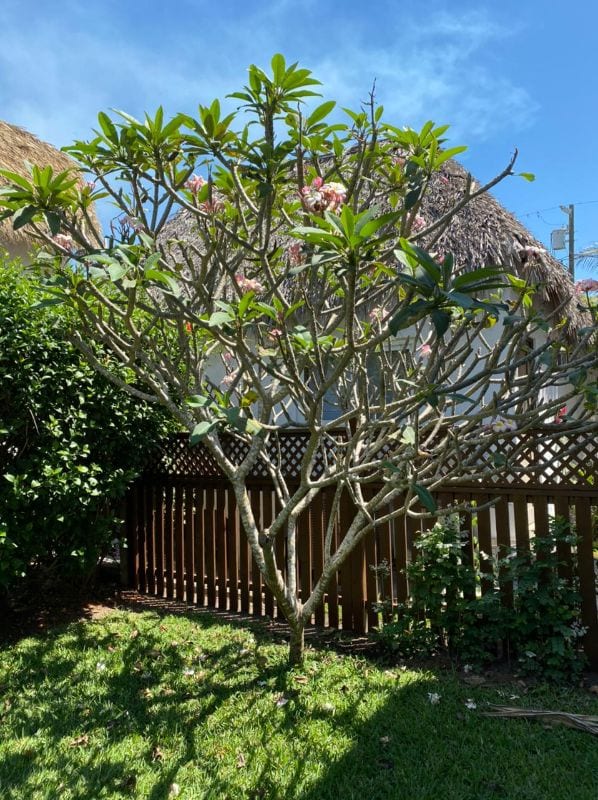 Casa Vacacional en Venta - Puerto Viejo — Casa vacacional en Venta en Monterrico, Santa Rosa — foto 15 de 17