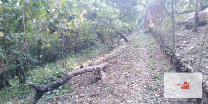 Venta Terreno El Encinal Mixco - Tronco 7 - 13