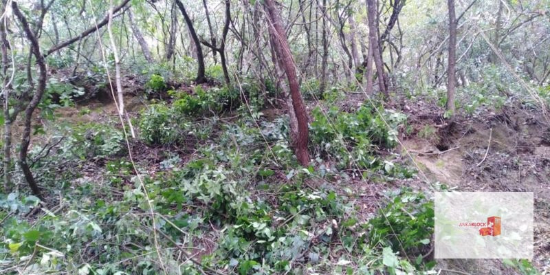 Venta Terreno El Encinal Mixco - Tronco 7 - 5