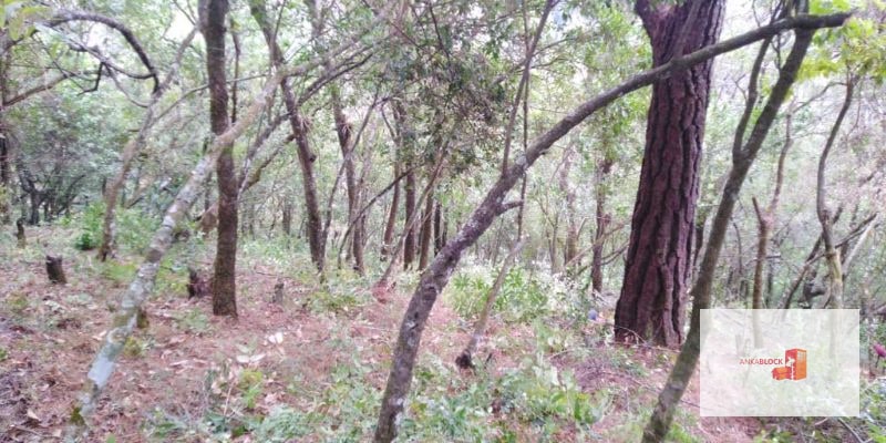 Venta Terreno El Encinal Mixco - Tronco 7 - 1
