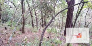 Venta Terreno El Encinal Mixco - Tronco 7  — Terreno en Venta en El Encinal, Zona 7 Mixco, Guatemala, Ciudad — miniatura 1 de 11