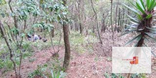 Venta Terreno El Encinal Mixco - Tronco 7  — Terreno en Venta en El Encinal, Zona 7 Mixco, Guatemala, Ciudad — miniatura 8 de 11