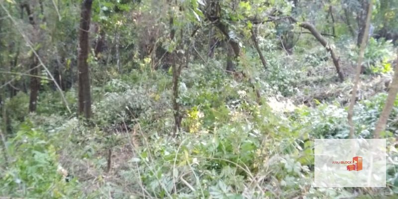 Venta Terreno El Encinal Mixco - Tronco 7 - 9