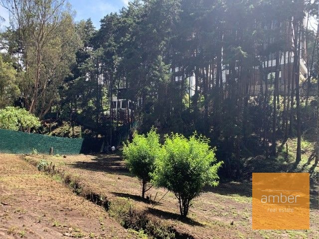 Terreno para desarrollo, Jacarandas de Muxbal - 2