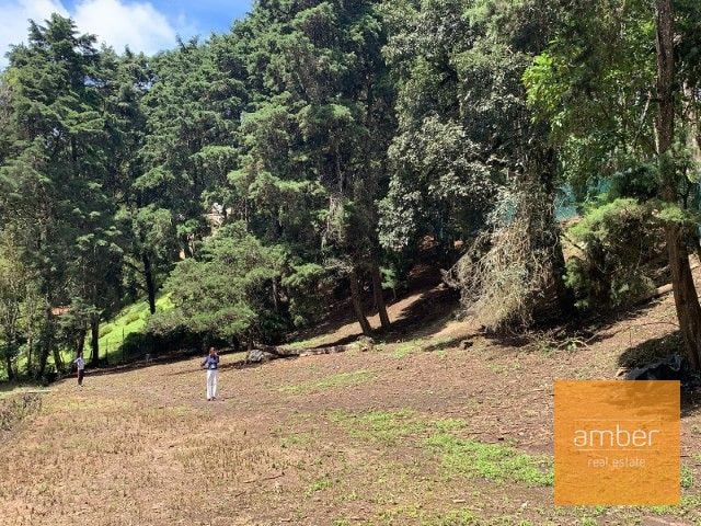 Terreno para desarrollo, Jacarandas de Muxbal - 1