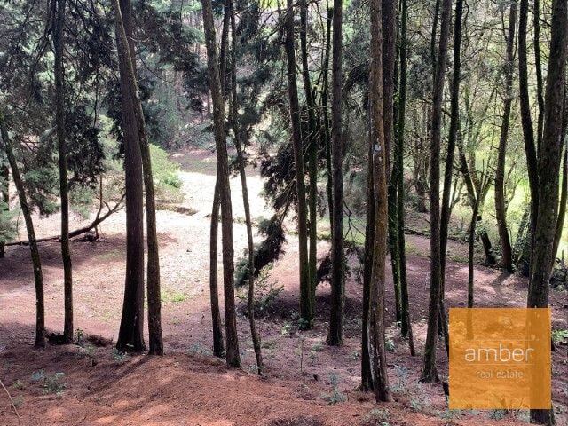 Terreno para desarrollo, Jacarandas de Muxbal - 3