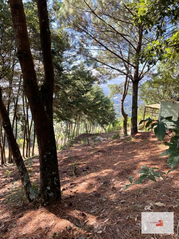 1 Mz con bellas vistas - S. Lucía Milpas Altas - 7