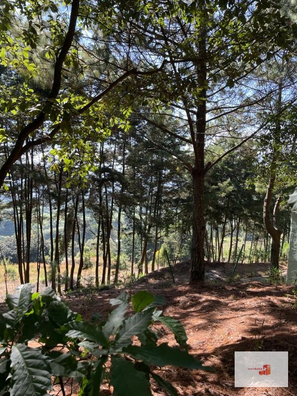 1 Mz con bellas vistas - S. Lucía Milpas Altas - 6