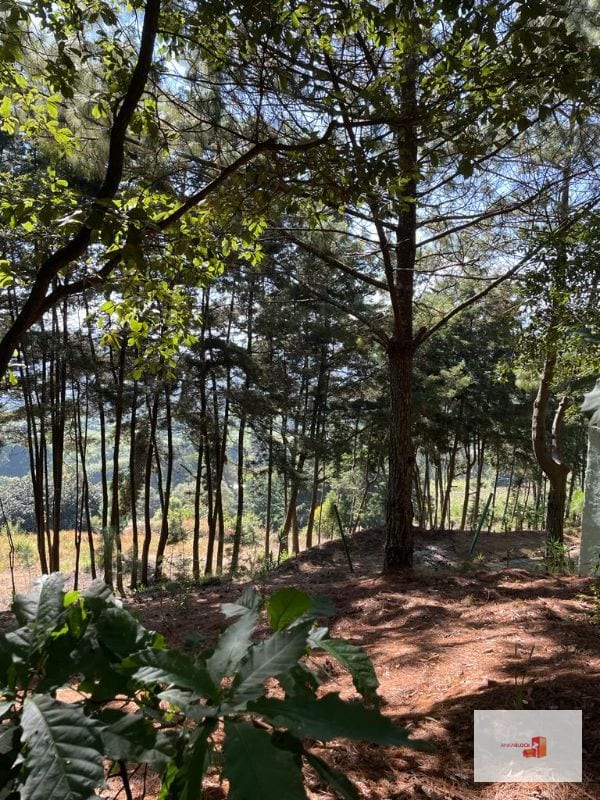 1 Mz con bellas vistas - S. Lucía Milpas Altas — Terreno en Venta en Santa Lucía Milpas Altas, Sacatepéquez — foto 2 de 16
