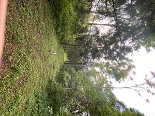 Propiedad en venta Santa Elena Barillas km 31 — Terreno en Venta en Santa Elena Barillas, Guatemala, Ciudad — miniatura 5 de 7